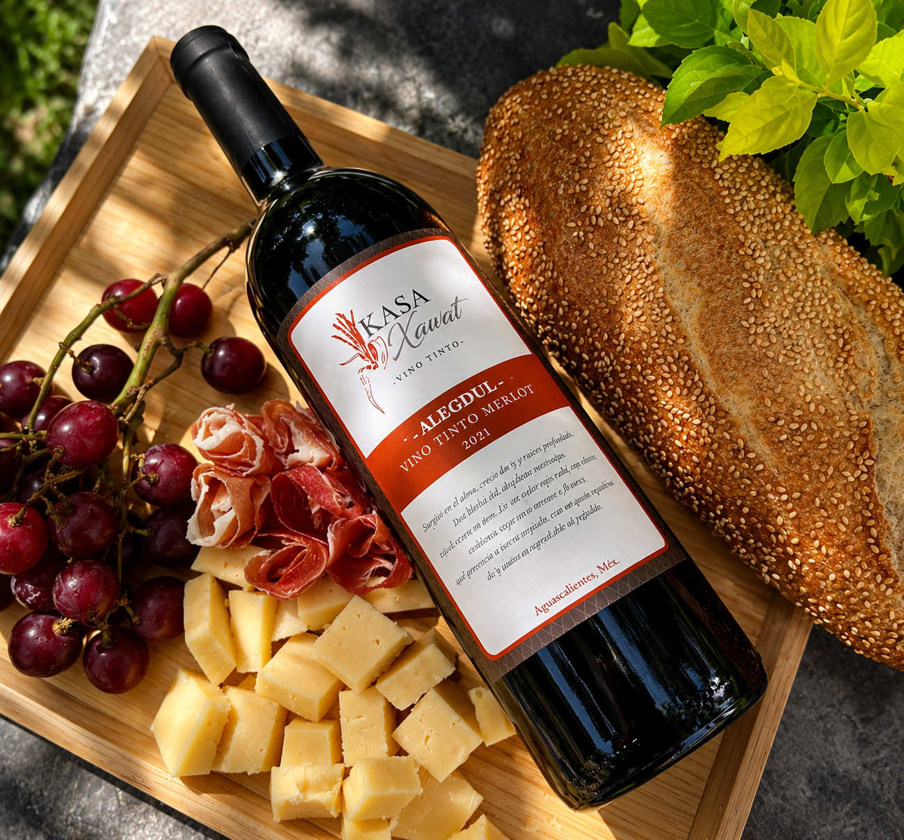 Kasa Xawat Merlot Alegdul 2019